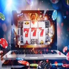 23win8